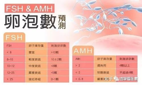 2022年贵州医科大学附属医院供卵做试管代生成功率及费用指南