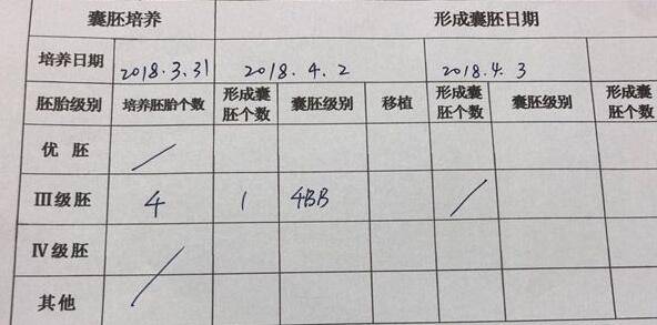 有什么保险可以报销做供卵自怀试管供卵的费用？0