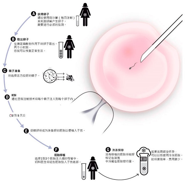 石头女人能做供卵公立自怀试管吗,滨州的姐妹们知道石头男女能做供卵二代自怀试管吗？泰国助孕怎么样？