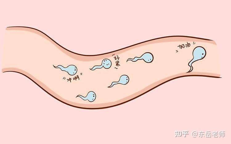 北京省妇幼保健院做试管哪个医生好