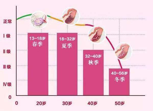 做试管代怀联系方式取卵前吃什么食物好代怀母亲的身体要求前的饮食建议