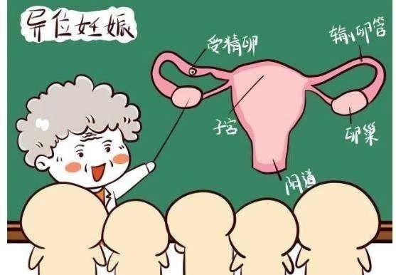 去北京市代怀代生孩子有吗如何选择可靠的医院？