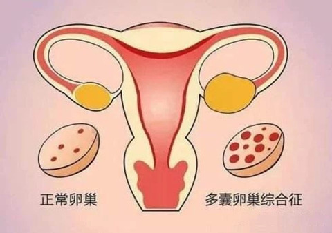 北京新生儿社保两级档次大PK,三种方法教你秒选